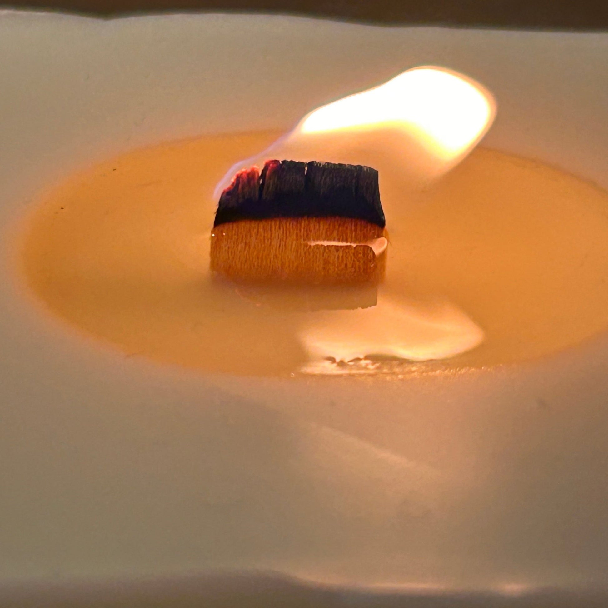 mecha de madera encendida crepitante cera de soja fundida aromática