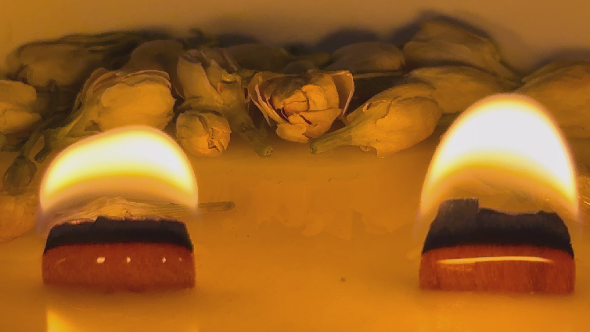 video de vela de cera de soja con llama cálida, pabilo de madera, fragancia a jazmín y gardenia con flores naturales secas 