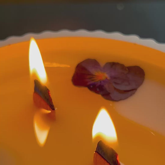 Vídeo de vela aromática de violeta y vainilla blanca con doble mecha de madera encendida, elaborada artesanalmente con cera de soja natural.